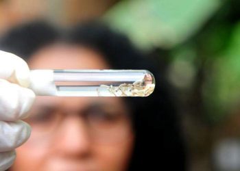 Dengue: ES registra 2 mortes e quase 13 mil casos da doença em 30 dias