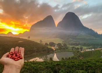 Três em cada quatro estabelecimentos rurais no Espírito Santo são de agricultura familiar