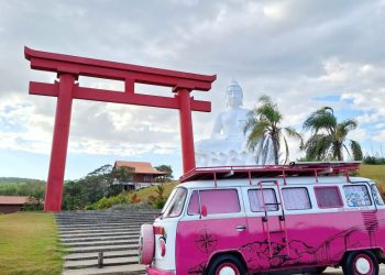 Kombi Pink: o mundo cor de rosa do casal que roda o ES