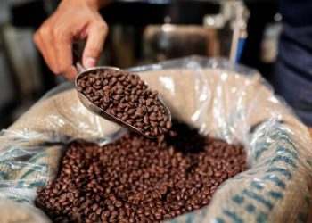 Exportações do agronegócio capixaba alcançam R$ 8,25 bilhões em dez meses