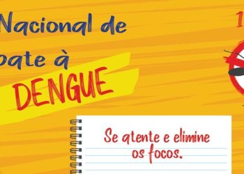Dia Nacional de Combate à Dengue: ano marca desenvolvimento de importantes ações no Estado