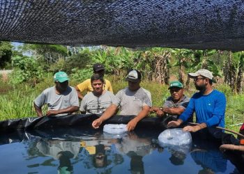 Aquaponia: projeto incentiva produção integrada de peixes e hortaliças em aldeia indígena de Aracruz