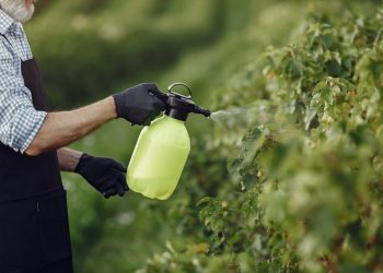 Governo investe em pesquisas para o controle de agrotóxico no plantio do café visando maior competitividade no exterior