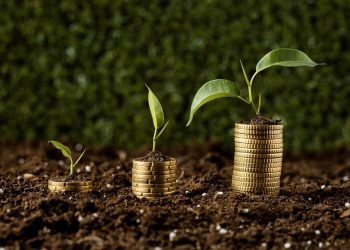 Aplicações de crédito rural no Espírito Santo seguem em alta no Plano Safra 2023/2024