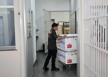 Primeira remessa de doses de vacina contra dengue chega ao ES