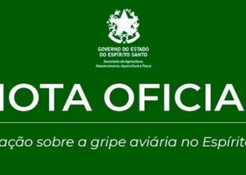 Espírito Santo registra mais um caso de influenza aviária e reforça alerta