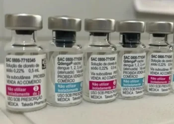 Vacina contra a dengue começa a ser distribuída