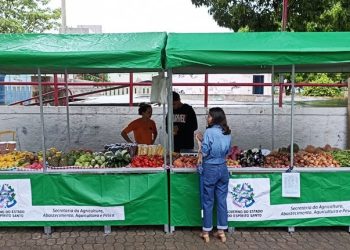 Governo do Estado reestrutura feiras agrícolas com o repasse de novas barracas