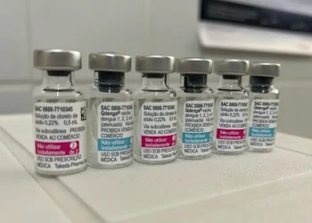 Idosos e crianças fazem parte do grupos de risco para dengue grave