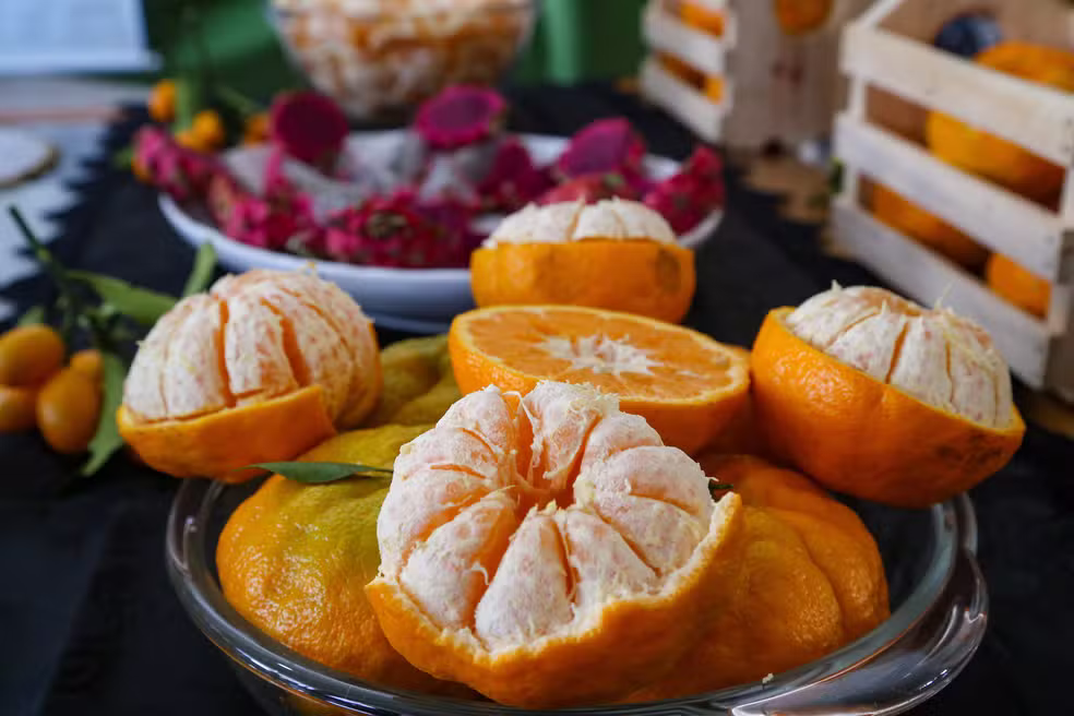Produção de tangerina cai, mas tamanho e qualidade dos frutos aumentam no ES