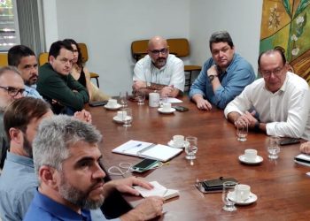 Seag debate incentivos para o agro no Espírito Santo com representantes do Governo Federal