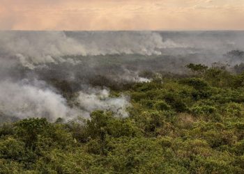 Pantanal poderá ter crise hídrica histórica em 2024, aponta estudo