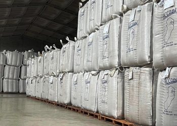 Exportações do agro capixaba crescem 83% no primeiro semestre de 2024