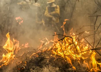 Focos de incêndio no Pantanal estão sob investigação da PF, diz Marina