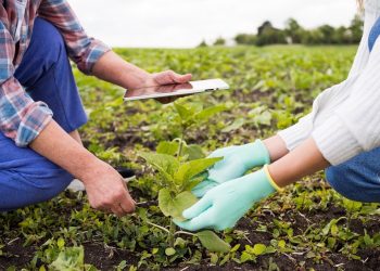 Seminário de defesa agropecuária do Espírito Santo acontece este mês