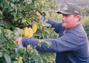 Produtor de Itarana vence prêmio nacional de sustentabilidade