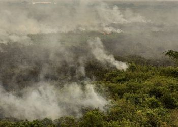Militares do Exército começam a combater incêndios no Tocantins