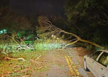 FOTOS | Furacão Milton deixa 6 mortos e causa destruição na Flórida