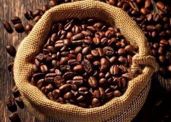 Prêmio de Cafés Especiais do Governo do Espírito Santo recebe inscrições até 11 de outubro