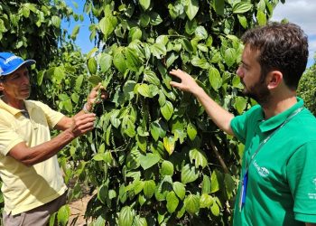 Dia da Extensão Rural é celebrado com semana de eventos no Espírito Santo