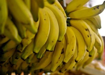 Tombo do doce de banana acontece neste domingo em Cariacica
