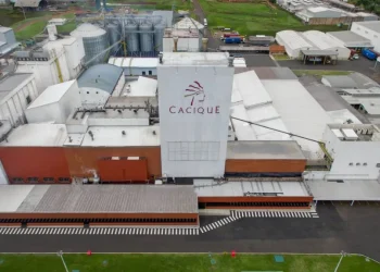 Brasil bate recorde em exportação e consumo de café solúvel em 2024