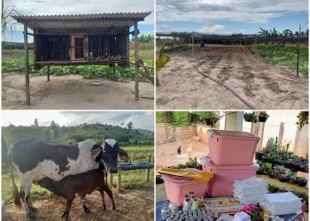 Espírito Santo adere ao Programa Fomento Rural e já beneficia 400 famílias do campo