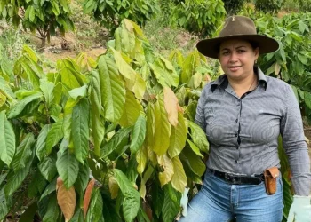 Cacau encanta, fortalece e empodera mulheres no interior do ES