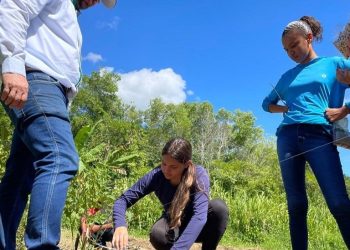Oficina capacita jovens rurais para manejo sustentável de plantas daninhas e conservação do solo