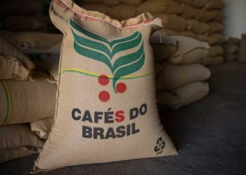 Mesmo com recuo nas exportações, receita do café capixaba ultrapassa US$ 218 milhões no 1º trimestre