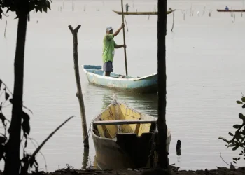 Negligência do Estado afeta 3,2 mil famílias de pescadores artesanais