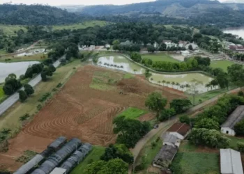 Espírito Santo lança primeiro mestrado em cafeicultura do Brasil