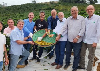 Espírito Santo inicia colheita da safra 2025 de café arábica