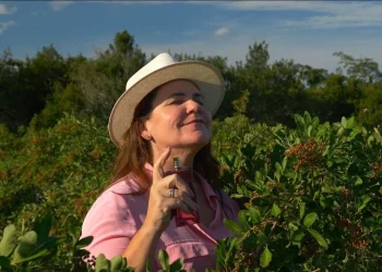 Pimenta-rosa capixaba conquista marca internacional de cosméticos