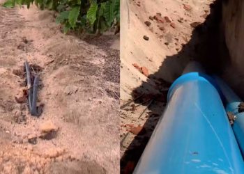 Com irrigação subterrânea agricultores de café e cana melhoram produção e economizam água no ES