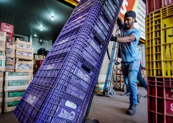 Rendimento médio dos brasileiros chega a R$ 3.057, recorde desde 2012