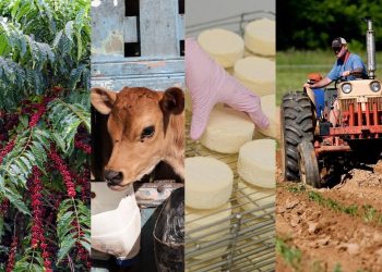 Espírito Santo bate recorde de crédito rural na safra 2024/2025 com alta de 23,6%