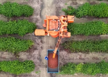Agropecuária impulsiona desempenho do PIB capixaba no 1º trimestre de 2025, aponta IJSN
