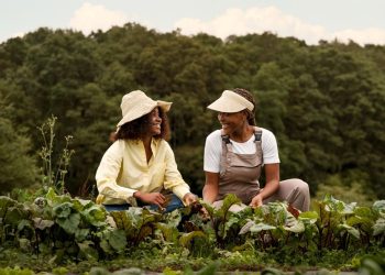 Espírito Santo bate recorde nas aplicações de crédito rural no ano-safra 2024/2025 e cresce 24,5%