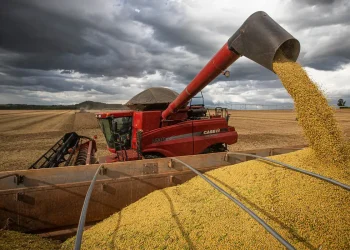Produção de grãos deve crescer 14% e chegar a 340 milhões de toneladas