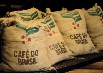 Exportações de café do Brasil caem em junho, mas safra 2024/25 fecha com 3° maior volume da história