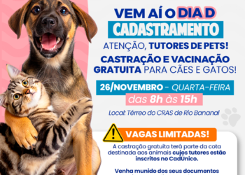 Prefeitura de Rio Bananal promove Dia D de cadastramento de pets