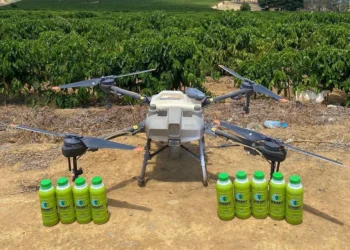 Produtores do ES usam “protetor solar” para reduzir danos do calor nas lavouras de café