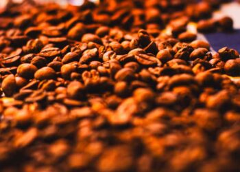 Acordo Mercosul–UE vira aposta do café solúvel diante de tarifas dos EUA
