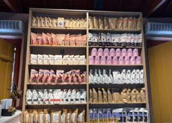 Cafés especiais produzidos por mulheres capixabas ganham espaço no mercado mineiro