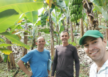 Produção orgânica: experiência do Incaper em Iconha é apresentada como referência ao Ministério da Agricultura