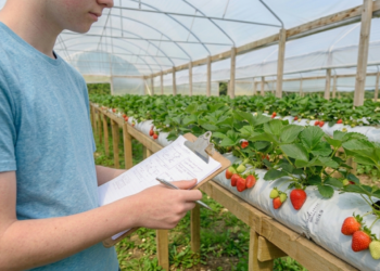 Incaper vai desenvolver 14 novos projetos de iniciação científica com estudantes da rede pública