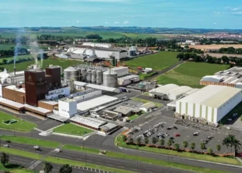 Como avançar no adensamento das cadeias produtivas do agronegócio capixaba