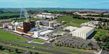 Como avançar no adensamento das cadeias produtivas do agronegócio capixaba