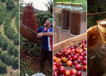 Do grão à experiência: como o Caparaó transforma café em produto turístico e amplia o potencial do Sul do ES